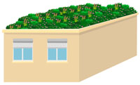 illustration : toiture végétalisée