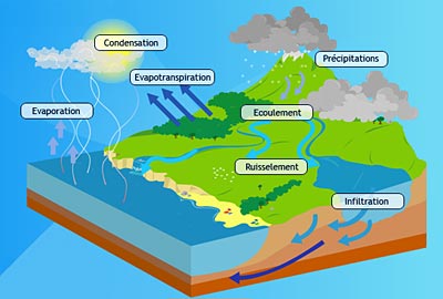 Le cycle de l'eau