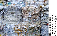 Recyclage papier - © Rachid Amrous – Fotolia.com.jpg