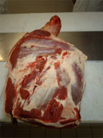 Découpe carcasse du boeuf 1