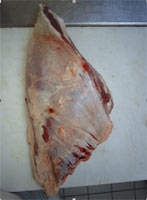 Découpe carcasse du boeuf  3