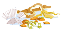 Illustration : pluchures de legumes